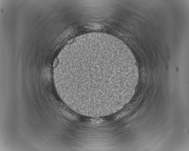 X0000066930612200604211726
