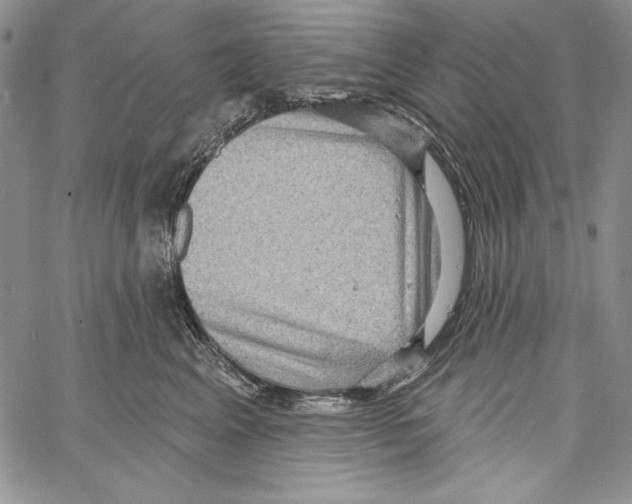 X0000066930617200604211726