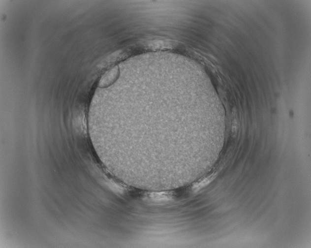 X0000066930622200604211726