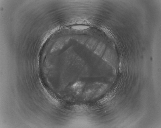 X0000066930630200604211725