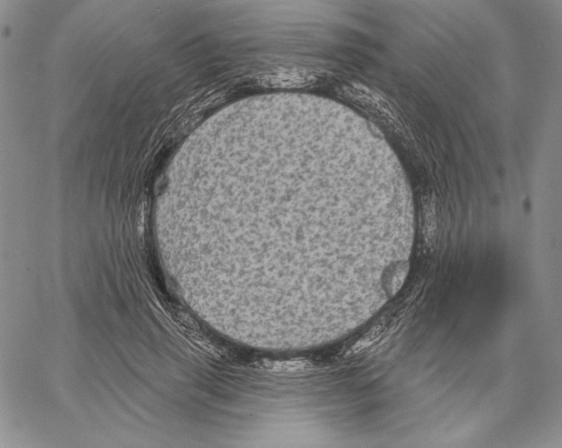 X0000066930645200604211725