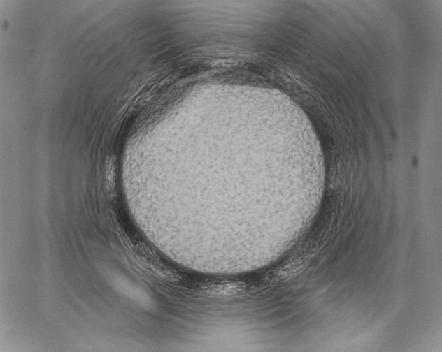 X0000066930646200604211725