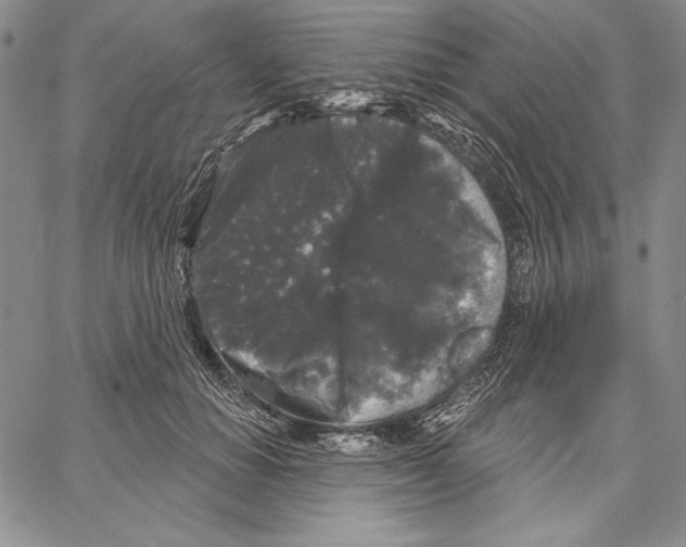 X0000066930654200604211725