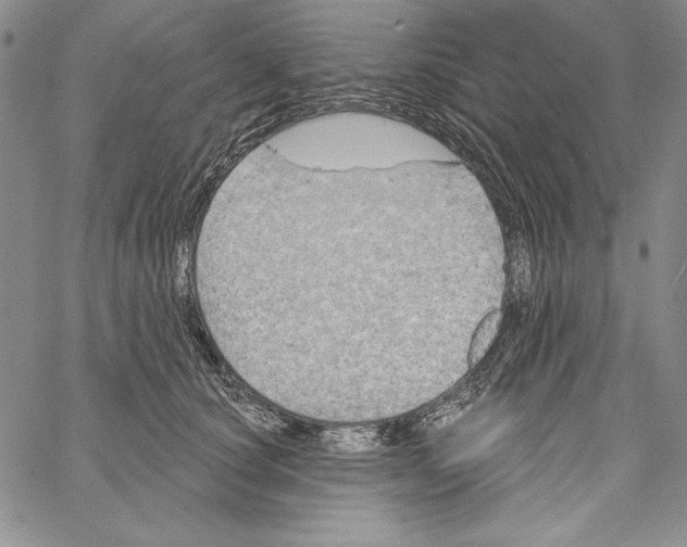 X0000066930660200604211726