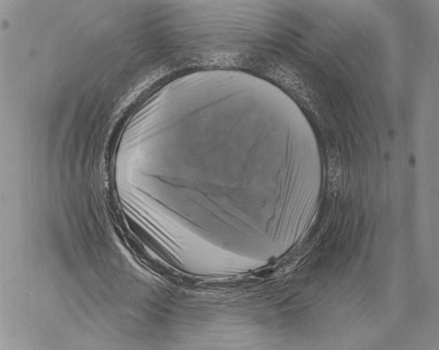X0000066930674200604211725