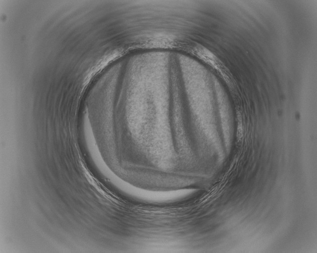 X0000066930677200604211725