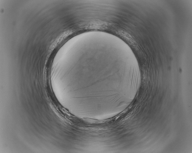 X0000066930678200604211725