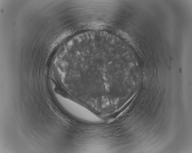 X0000066930679200604211725