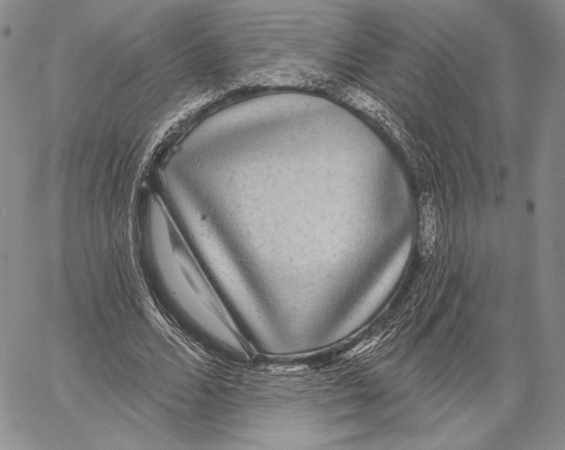 X0000066930680200604211725