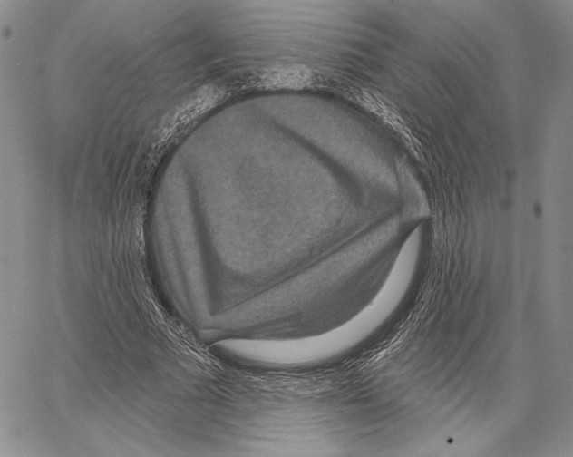 X0000066930681200604211725