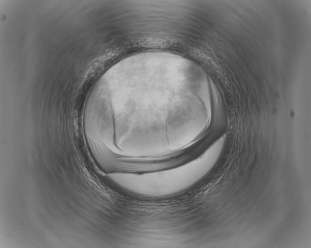 X0000066930688200604211725