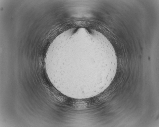 X0000066930702200604211724