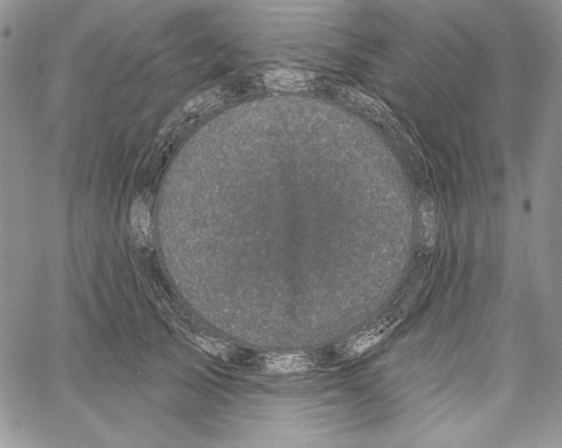 X0000066930705200604211724