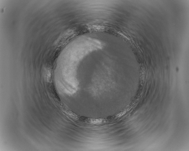 X0000066930709200604211724