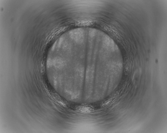 X0000066930743200604211724