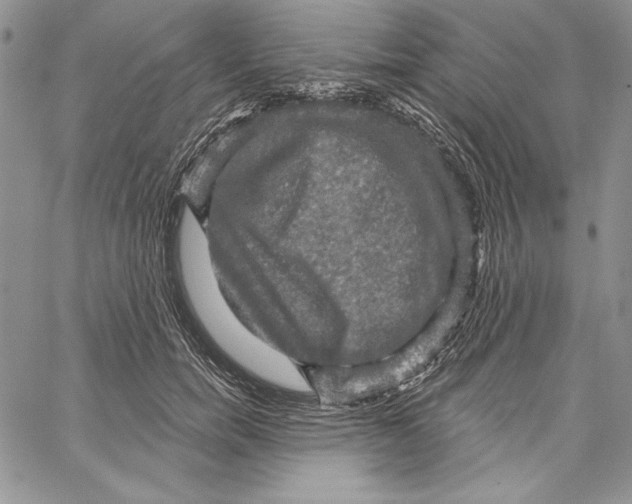 X0000066930750200604211724