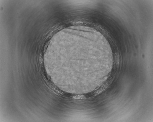 X0000066930761200604211724