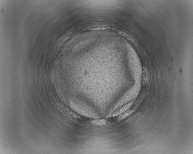 X0000066930762200604211724