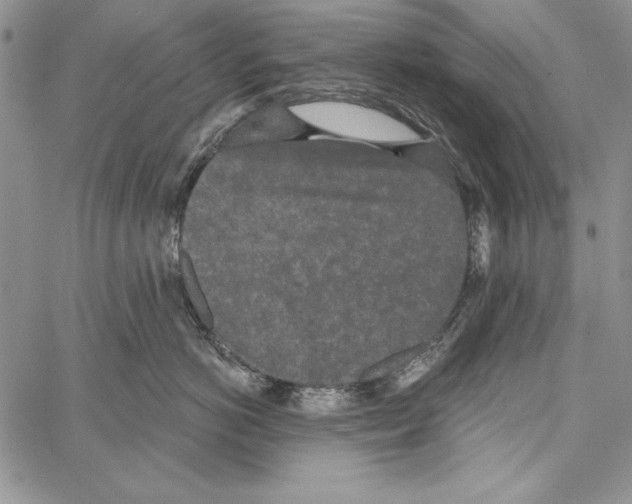 X0000066930766200604211724