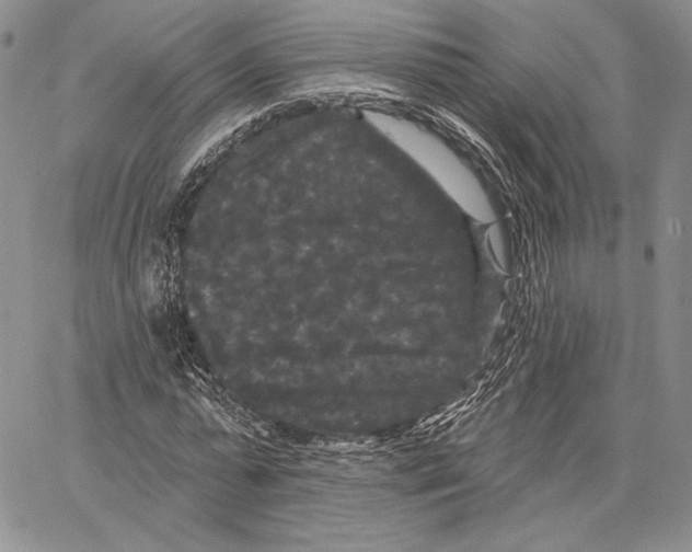 X0000066930775200604211723