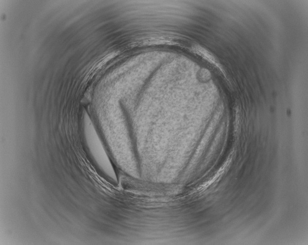 X0000066930777200604211723