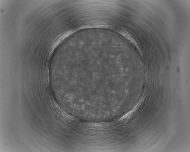 X0000066930781200604211723