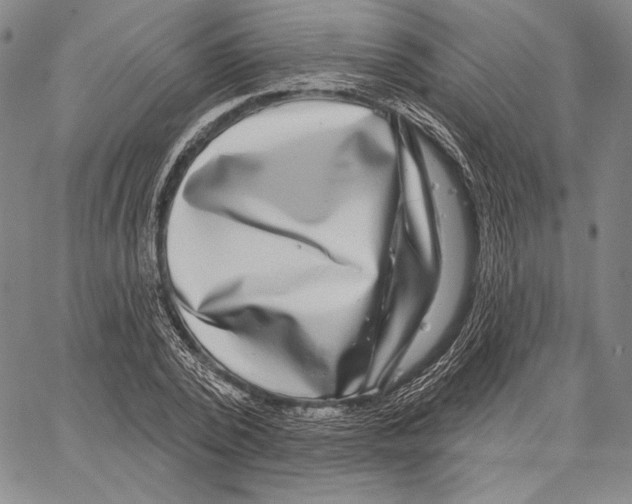 X0000066930784200604211723