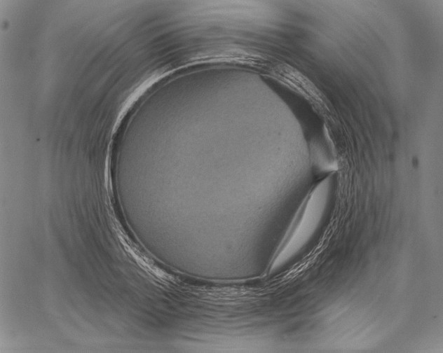 X0000066930788200604211723