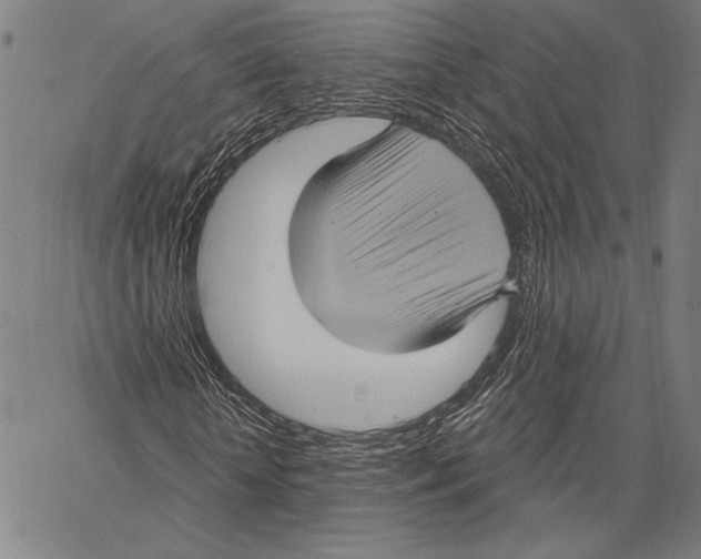 X0000066930818200604211722