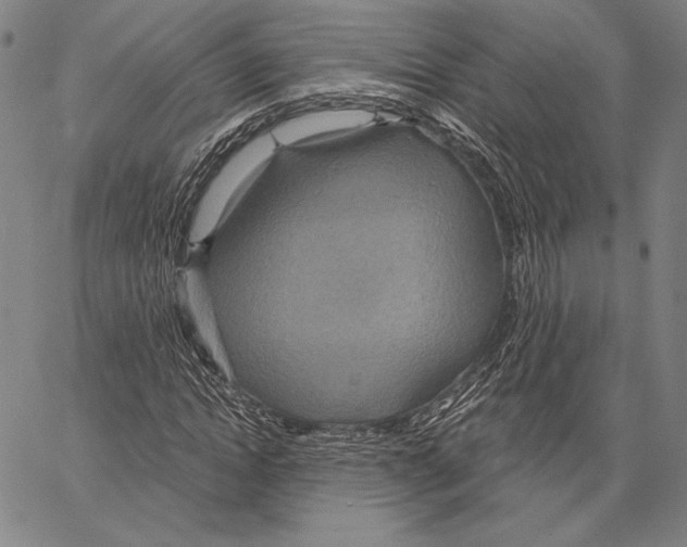 X0000066930822200604211722