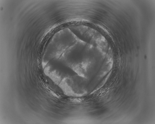 X0000066930823200604211722