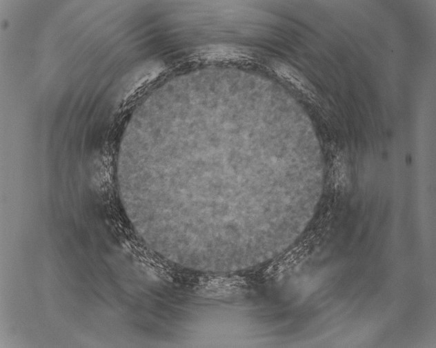X0000066930824200604211722