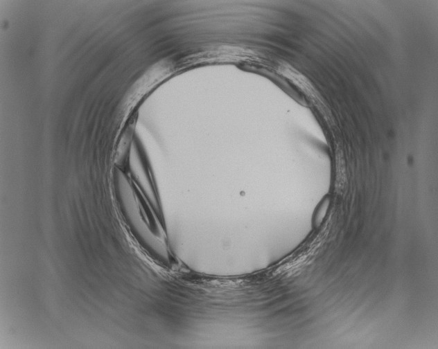 X0000066930850200604211722