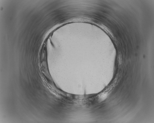 X0000066930854200604211722