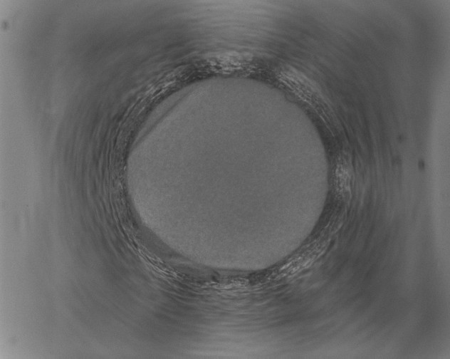 X0000066930865200604211722