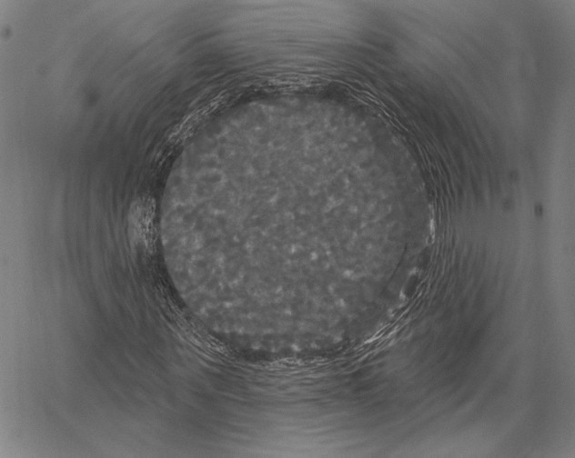 X0000066930867200604211722