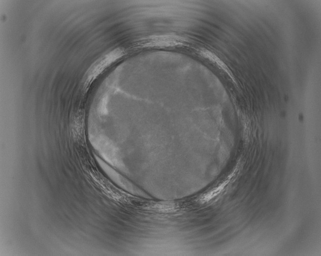 X0000066930874200604211722