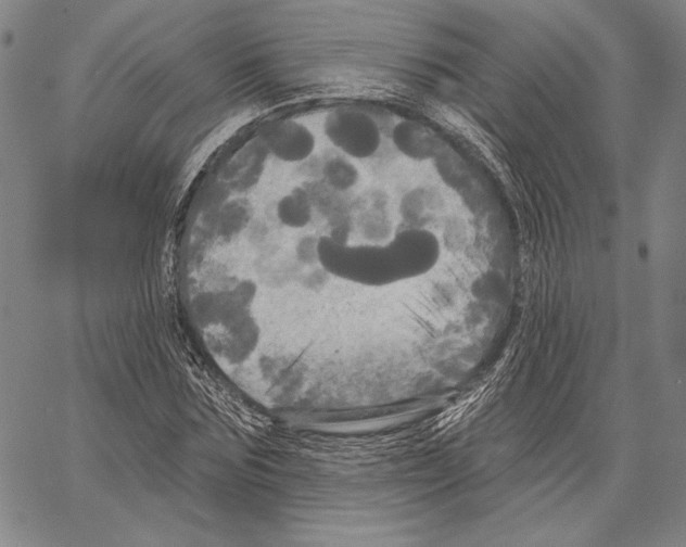 X0000066930875200604211722