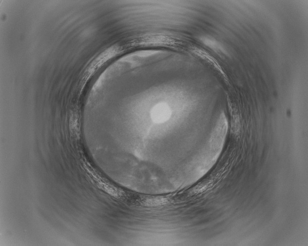 X0000066930882200604211721