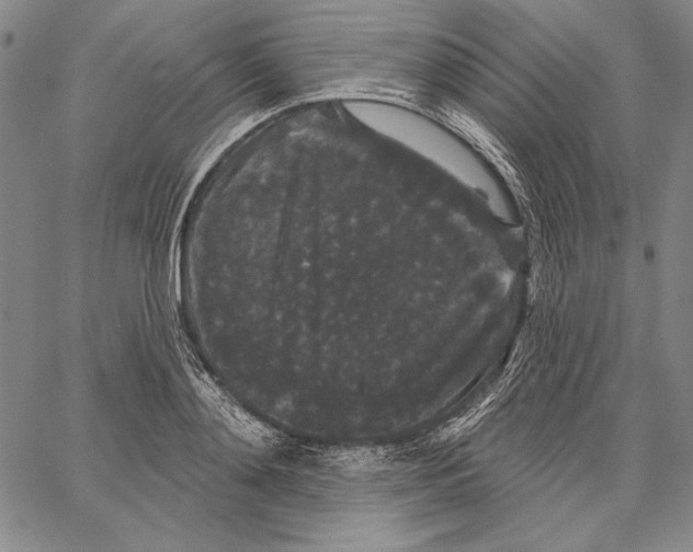 X0000066930892200604211721