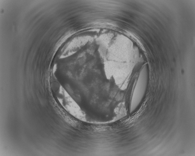 X0000066930899200604211721