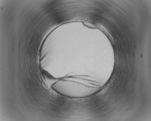 X0000066930900200604211721