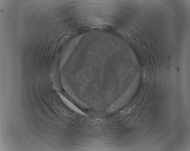 X0000066930916200604211720