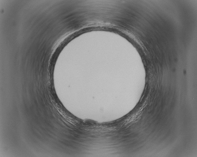 X0000066930927200604211720