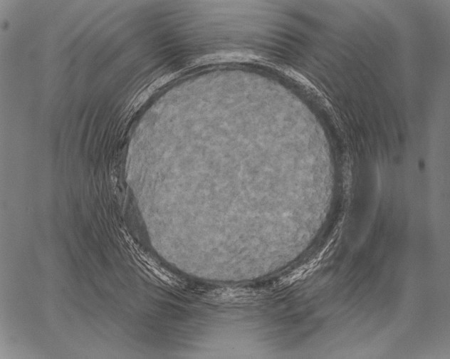X0000066930929200604211720