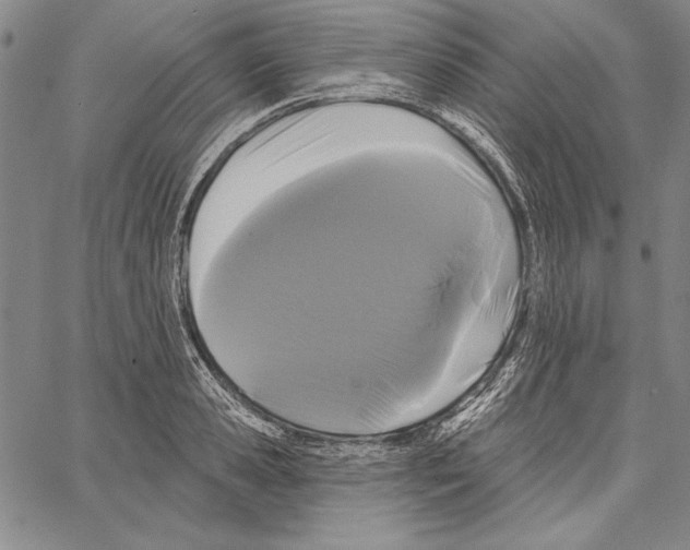 X0000066930941200604211721