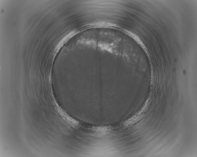X0000066930946200604211721