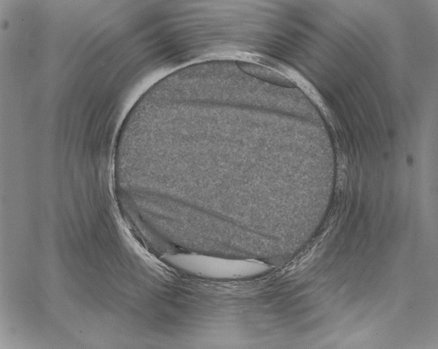 X0000066930955200604211721