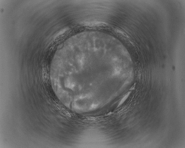 X0000066930966200604211720
