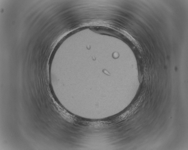 X0000066930988200604211720